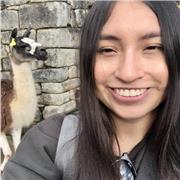 Laureanda in Ingegneria Ambientale offre ripetizioni di matematica, inglese, spagnolo a ragazzi di elementare/media